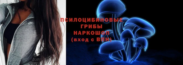 трава Армянск
